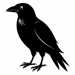 Bird Black silhouette
