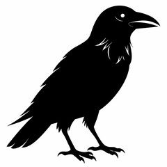 Crow Black silhouette