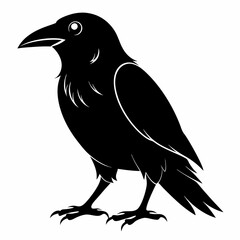 Crow Black silhouette
