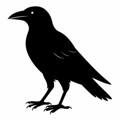 Crow Black silhouette
