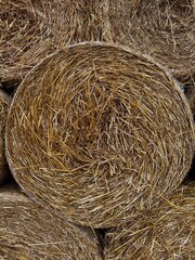 a bale of hay