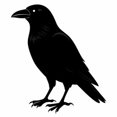 Crow Black silhouette