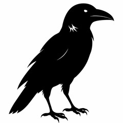 Crow Black silhouette
