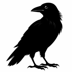Crow Black silhouette