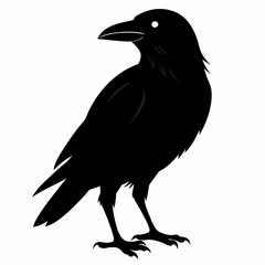 Crow Black silhouette