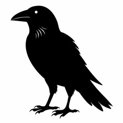 Crow Black silhouette