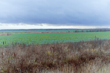 Fototapeta premium dull cloudy sky