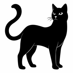 Cat Black silhouette