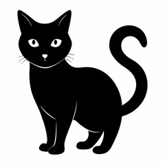 Cat Black silhouette