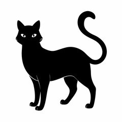 Cat Black silhouette