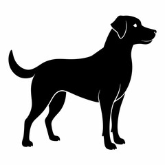 Dog Black silhouette