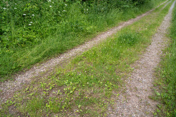 Obraz premium Dirt road between green grass in the landscape 