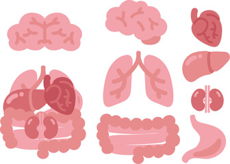 7일차-인체30