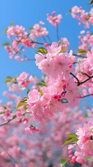 Spring background