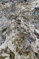 Obraz premium Details am Strand, Westfjorde, Island