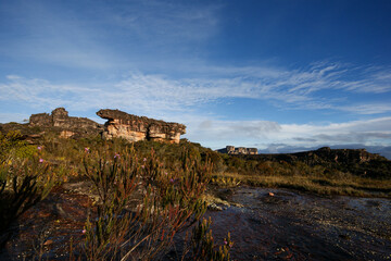 Fototapeta premium River, rock formations and hills on the plateau of Auyan Tepui, in morning light, Venezuela
