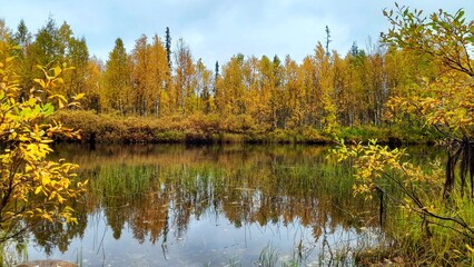 Herbst in Lappland (Finnland)