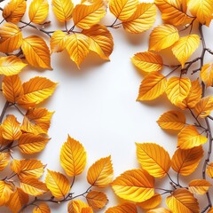 Obraz premium Frame of yellow fall leaves on white background, copy space