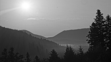 misty morning in the mountains. Carpathian Mountains early in the morning. black and white foto