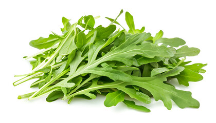 Obraz premium Heap of Green fresh rucola or arugula leaf isolated on white background
