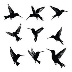 Fototapeta premium Set of nine hummingbird silhouettes isolated on white background.