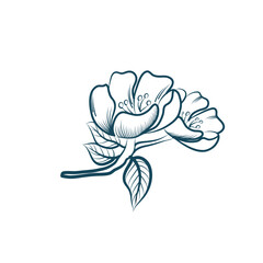 Hand drawing line style flower element, isolated. decor element 