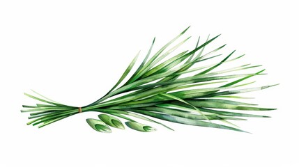 Fototapeta premium A vibrant watercolor art piece showcasing an isolated lemongrass stem, perfect for enhancing any design or home decor project.