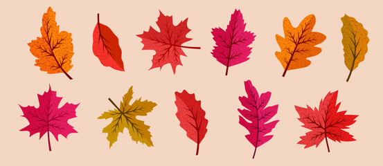 Autumn Leaves or Fall Leaves and Maple Leaf, Oak Leaf, Dry Leaf, Fall Foliage for Autumn Background or Autumn Mood Set in Vector SVG