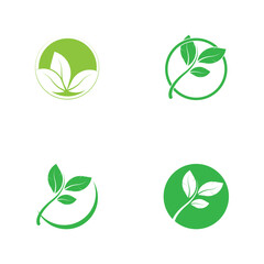 leaf's logo icon vector illustration template design