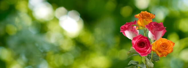 Obraz premium A Bouquet of Roses in a Lush Green Garden on a Sunny Summer Day