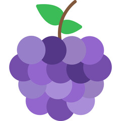 Grape Icon