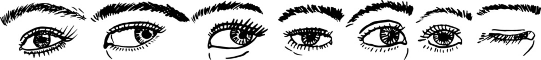 Expressive eyes hand drawing. Eyebrows eyelashes look. Vector illustration.	
