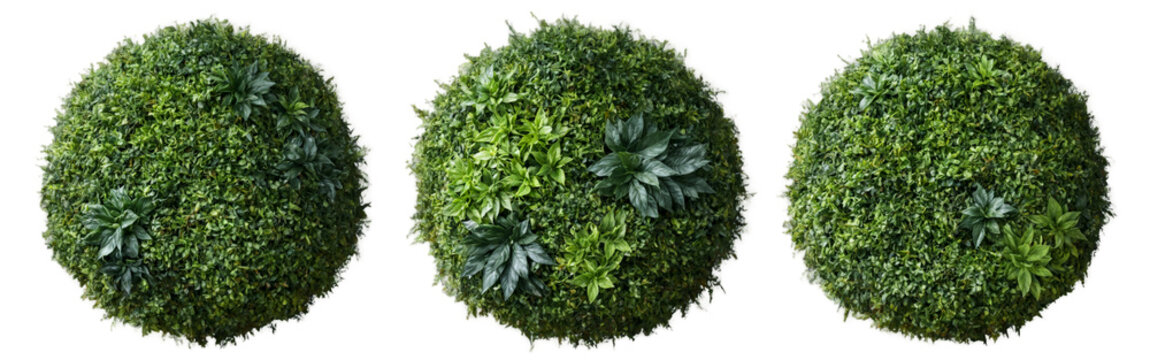 Three spherical objects made green leaves are arranged Set of round green
