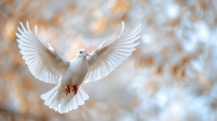 Fototapeta premium White dove is soaring gracefully with its wings spread wide, symbolizing peace, hope, and new beginnings