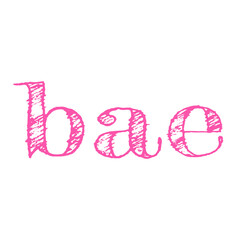 Bae - slang graphic text acronym. Can refer to boyfriend, spouse, lover, spouse, crush