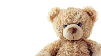 Obraz premium Teddy bear on transparent background