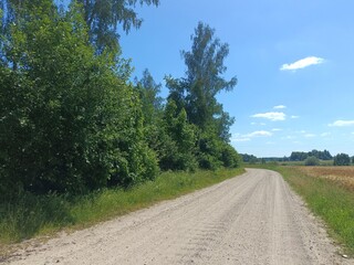 Road in forest in Siauliai county during sunny summer day. Oak and birch tree woodland. Sunny day with white clouds in blue sky. Bushes are growing in woods. Sandy road. Nature. Summer season. Miskas.