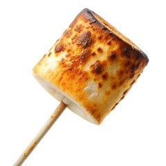 Perfectly toasted marshmallow on a stick, ready for s&rsquo;mores or a sweet treat