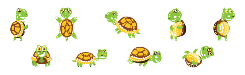 Funny Green Turtle Character with Carapace Vector Set