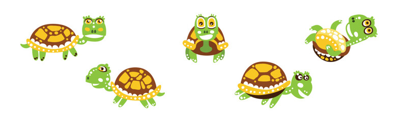 Funny Green Turtle Character with Carapace Vector Set