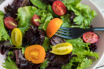 Mix of fresh green salad with red and yellow cherry tomatoes 