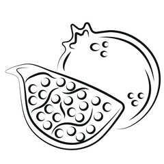 outline icon of a whole pomegranate and a piece of pomegranate in abstract style, vector