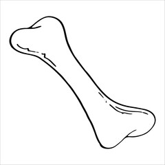 Bone. for the dog. for Halloween. Hand drawn vector illustration in doodle style isolated on white background.