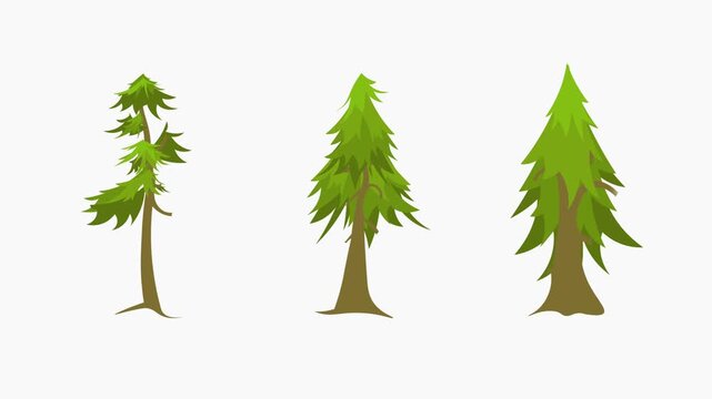 Pine trees, Vector set of flat trees, forest and bush 4K Matte - Finish Animation.
