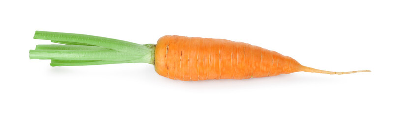 One fresh ripe carrot isolated on white