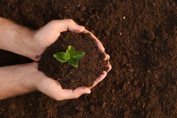Man holding seedling with soil outdoors, top view. Space for text