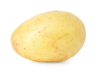 One young fresh potato isolated on white