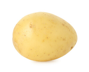 One fresh young potato isolated on white