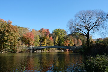 Obraz premium autumn in central park