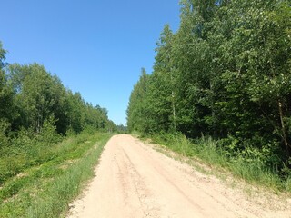 Road in forest in Siauliai county during sunny summer day. Oak and birch tree woodland. Sunny day with white clouds in blue sky. Bushes are growing in woods. Sandy road. Nature. Summer season. Miskas.